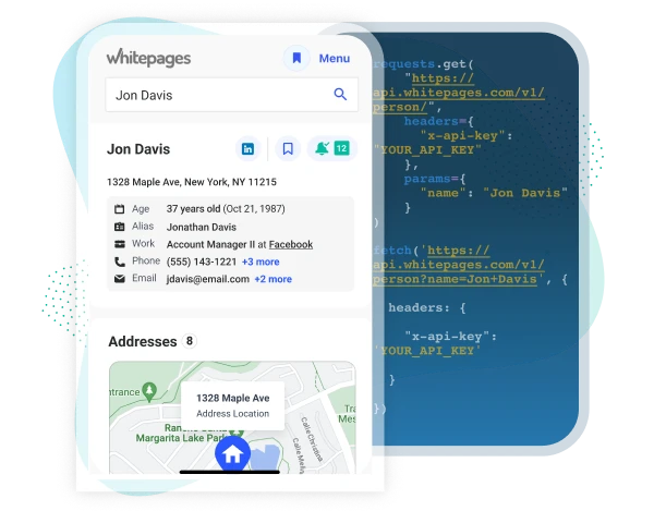 api illustration